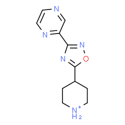 ChemSpider 2D Image | 4-[3-(2-Pyrazinyl)-1,2,4-oxadiazol-5-yl]piperidinium | C11H14N5O