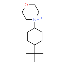 ChemSpider 2D Image | 4-[4-(2-Methyl-2-propanyl)cyclohexyl]morpholin-4-ium | C14H28NO