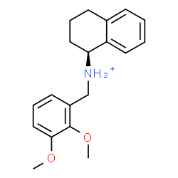 ChemSpider 2D Image | (1S)-N-(2,3-Dimethoxybenzyl)-1,2,3,4-tetrahydro-1-naphthalenaminium | C19H24NO2