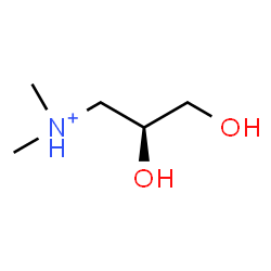 ChemSpider 2D Image | (2S)-2,3-Dihydroxy-N,N-dimethyl-1-propanaminium | C5H14NO2