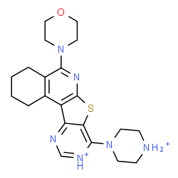 ChemSpider 2D Image | 5-(4-Morpholinyl)-8-(piperazin-4-ium-1-yl)-1,2,3,4-tetrahydropyrimido[4',5':4,5]thieno[2,3-c]isoquinolin-9-ium | C21H28N6OS