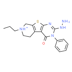 ChemSpider 2D Image | 2-Hydrazino-4-oxo-3-phenyl-7-propyl-3,4,5,6,7,8-hexahydropyrido[4',3':4,5]thieno[2,3-d]pyrimidin-7-ium | C18H22N5OS