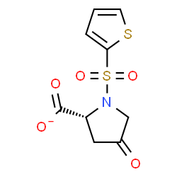 ChemSpider 2D Image | (2R)-4-Oxo-1-(2-thienylsulfonyl)-2-pyrrolidinecarboxylate | C9H8NO5S2