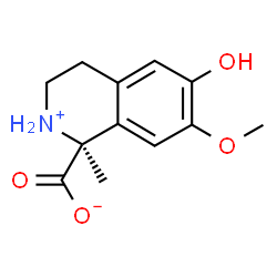 ChemSpider 2D Image | (1S)-6-Hydroxy-7-methoxy-1-methyl-1,2,3,4-tetrahydro-1-isoquinoliniumcarboxylate | C12H15NO4