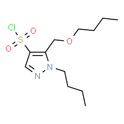 ChemSpider 2D Image | 5-(Butoxymethyl)-1-butyl-1H-pyrazole-4-sulfonyl chloride | C12H21ClN2O3S