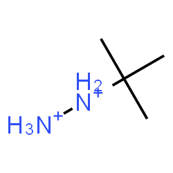 ChemSpider 2D Image | (2-Methyl-2-propanyl)diazanediium | C4H14N2