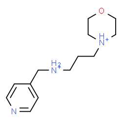 ChemSpider 2D Image | 4-{3-[(4-Pyridinylmethyl)ammonio]propyl}morpholin-4-ium | C13H23N3O