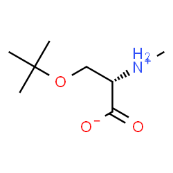 ChemSpider 2D Image | O-(tert-butyl)-N-methyl-L-serine | C8H17NO3