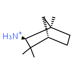 ChemSpider 2D Image | (1R,2R,4S)-1,3,3-Trimethylbicyclo[2.2.1]heptan-2-aminium | C10H20N