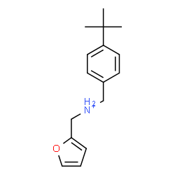 ChemSpider 2D Image | 2-Furyl-N-[4-(2-methyl-2-propanyl)benzyl]methanaminium | C16H22NO