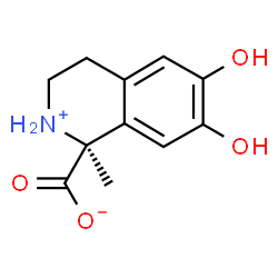 ChemSpider 2D Image | (1S)-6,7-Dihydroxy-1-methyl-1,2,3,4-tetrahydro-1-isoquinoliniumcarboxylate | C11H13NO4