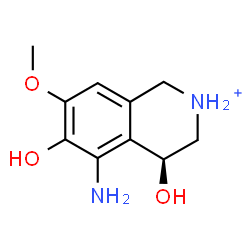 ChemSpider 2D Image | (4S)-5-Amino-4,6-dihydroxy-7-methoxy-1,2,3,4-tetrahydroisoquinolinium | C10H15N2O3