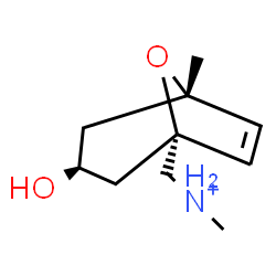 ChemSpider 2D Image | [(1R,3S,5S)-3-Hydroxy-5-methyl-8-oxabicyclo[3.2.1]oct-6-en-1-yl]-N-methylmethanaminium | C10H18NO2