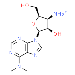 ChemSpider 2D Image | 9-(3-Ammonio-3-deoxy-beta-L-lyxofuranosyl)-N,N-dimethyl-9H-purin-6-amine | C12H19N6O3