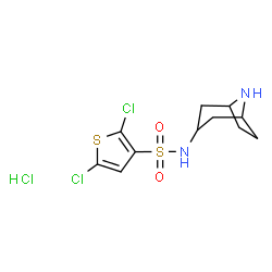 ChemSpider 2D Image | N-(8-Azabicyclo[3.2.1]oct-3-yl)-2,5-dichloro-3-thiophenesulfonamide hydrochloride (1:1) | C11H15Cl3N2O2S2
