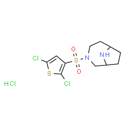 ChemSpider 2D Image | 3-[(2,5-Dichloro-3-thienyl)sulfonyl]-3,9-diazabicyclo[4.2.1]nonane hydrochloride (1:1) | C11H15Cl3N2O2S2