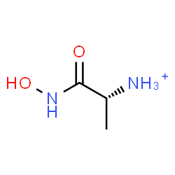 ChemSpider 2D Image | (2R)-1-(Hydroxyamino)-1-oxo-2-propanaminium | C3H9N2O2