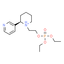ChemSpider 2D Image | (2R)-1-{2-[(Diethoxyphosphoryl)oxy]ethyl}-2-(3-pyridinyl)piperidinium | C16H28N2O4P