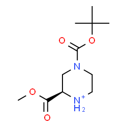 ChemSpider 2D Image | (2R)-2-(Methoxycarbonyl)-4-{[(2-methyl-2-propanyl)oxy]carbonyl}piperazin-1-ium | C11H21N2O4