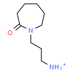 ChemSpider 2D Image | 3-(2-Oxo-1-azepanyl)-1-propanaminium | C9H19N2O