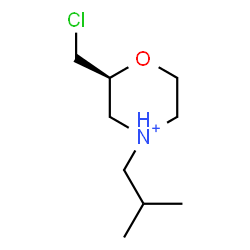 ChemSpider 2D Image | (2S)-2-(Chloromethyl)-4-isobutylmorpholin-4-ium | C9H19ClNO