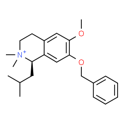 ChemSpider 2D Image | (1R)-7-(Benzyloxy)-1-isobutyl-6-methoxy-2,2-dimethyl-1,2,3,4-tetrahydroisoquinolinium | C23H32NO2