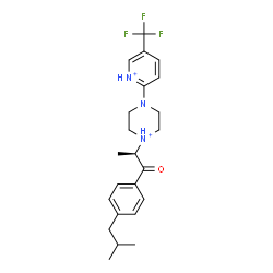 ChemSpider 2D Image | 1-[(2R)-1-(4-Isobutylphenyl)-1-oxo-2-propanyl]-4-[5-(trifluoromethyl)-2-pyridiniumyl]piperazin-1-ium | C23H30F3N3O