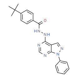 ChemSpider 2D Image | 4-tert-Butyl-N'-(1-phenyl-1H-pyrazolo[3,4-d]pyrimidin-4-yl)benzohydrazide | C22H22N6O