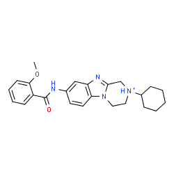 ChemSpider 2D Image | 2-Cyclohexyl-8-[(2-methoxybenzoyl)amino]-1,2,3,4-tetrahydropyrazino[1,2-a]benzimidazol-2-ium | C24H29N4O2