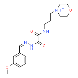 ChemSpider 2D Image | 4-[3-({[(2Z)-2-(3-Methoxybenzylidene)hydrazino](oxo)acetyl}amino)propyl]morpholin-4-ium | C17H25N4O4