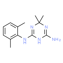 ChemSpider 2D Image | N-(2,6-Dimethylphenyl)-6,6-dimethyl-3,6-dihydro-1,3,5-triazine-2,4-diamine | C13H19N5