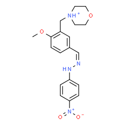 ChemSpider 2D Image | 4-(2-Methoxy-5-{(Z)-[(4-nitrophenyl)hydrazono]methyl}benzyl)morpholin-4-ium | C19H23N4O4
