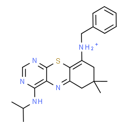 ChemSpider 2D Image | N-Benzyl-4-(isopropylamino)-7,7-dimethyl-7,8-dihydro-6H-pyrimido[4,5-b][1,4]benzothiazin-9-aminium | C22H28N5S