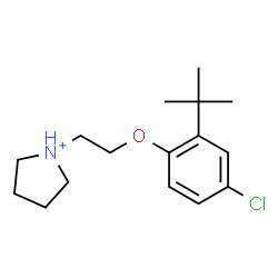 ChemSpider 2D Image | 1-{2-[4-Chloro-2-(2-methyl-2-propanyl)phenoxy]ethyl}pyrrolidinium | C16H25ClNO