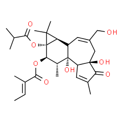 ChemSpider 2D Image | (1aR,1bS,4aR,7bS,8R,9R,9aS)-4a,7b-Dihydroxy-3-(hydroxymethyl)-9a-(isobutyryloxy)-1,1,6,8-tetramethyl-5-oxo-1a,1b,4,4a,5,7a,7b,8,9,9a-decahydro-1H-cyclopropa[3,4]benzo[1,2-e]azulen-9-yl (2E)-2-methyl-2
-butenoate | C29H40O8