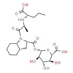 ChemSpider 2D Image | (2S,3S,4S,5R,6S)-6-[({(2S,3aS,7aS)-1-[(2S)-2-{[(1S)-1-Carboxybutyl]amino}propanoyl]octahydro-1H-indol-2-yl}carbonyl)oxy]-3,4,5-trihydroxytetrahydro-2H-pyran-2-carboxylic acid (non-preferred name) | C23H36N2O11