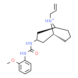 ChemSpider 2D Image | (1R,5S)-9-Allyl-3-{[(2-methoxyphenyl)carbamoyl]amino}-9-azoniabicyclo[3.3.1]nonane | C19H28N3O2