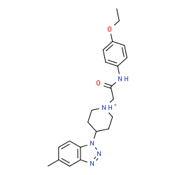 ChemSpider 2D Image | 1-{2-[(4-Ethoxyphenyl)amino]-2-oxoethyl}-4-(5-methyl-1H-benzotriazol-1-yl)piperidinium | C22H28N5O2