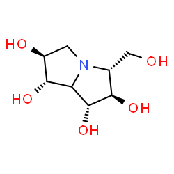 ChemSpider 2D Image | (1R,2R,3R,6S,7S)-3-(Hydroxymethyl)hexahydro-1H-pyrrolizine-1,2,6,7-tetrol | C8H15NO5