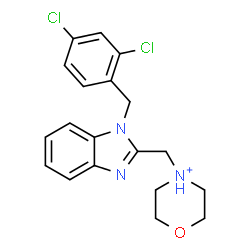 ChemSpider 2D Image | 4-{[1-(2,4-Dichlorobenzyl)-1H-benzimidazol-2-yl]methyl}morpholin-4-ium | C19H20Cl2N3O