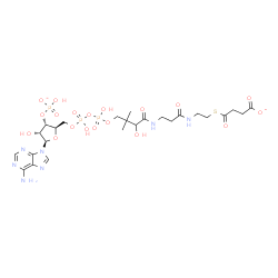 ChemSpider 2D Image | 1-{(2R,3S,4R,5R)-5-(6-Amino-9H-purin-9-yl)-4-hydroxy-3-[(hydroxyphosphinato)oxy]tetrahydro-2-furanyl}-3,5,9-trihydroxy-8,8-dimethyl-10,14,19-trioxo-2,4,6-trioxa-18-thia-11,15-diaza-3,5-diphosphadocosa
n-22-oate 3,5-dioxide (non-preferred name) | C25H38N7O19P3S