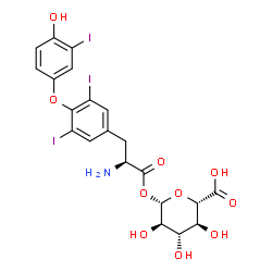 ChemSpider 2D Image | 1-O-[O-(4-Hydroxy-3-iodophenyl)-3,5-diiodo-L-tyrosyl]-beta-D-glucopyranuronic acid | C21H20I3NO10