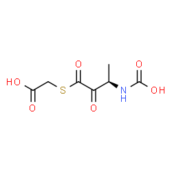 ChemSpider 2D Image | {[(3R)-3-(Carboxyamino)-2-oxobutanoyl]sulfanyl}acetic acid | C7H9NO6S