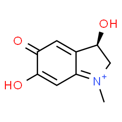 ChemSpider 2D Image | (3R)-3,6-Dihydroxy-1-methyl-5-oxo-3,5-dihydro-2H-indolium | C9H10NO3