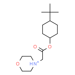 ChemSpider 2D Image | 4-(2-{[4-(2-Methyl-2-propanyl)cyclohexyl]oxy}-2-oxoethyl)morpholin-4-ium | C16H30NO3