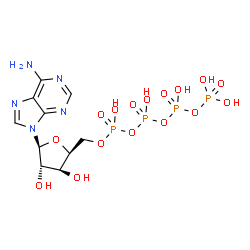 ChemSpider 2D Image | 9-(5-O-{Hydroxy[(hydroxy{[hydroxy(phosphonooxy)phosphoryl]oxy}phosphoryl)oxy]phosphoryl}-beta-L-xylofuranosyl)-9H-purin-6-amine | C10H17N5O16P4