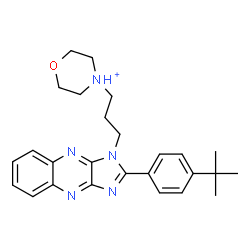 ChemSpider 2D Image | 4-(3-{2-[4-(2-Methyl-2-propanyl)phenyl]-1H-imidazo[4,5-b]quinoxalin-1-yl}propyl)morpholin-4-ium | C26H32N5O