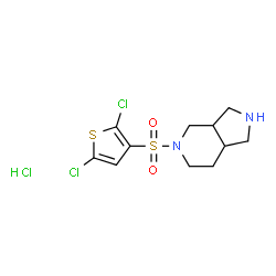 ChemSpider 2D Image | 5-[(2,5-Dichloro-3-thienyl)sulfonyl]octahydro-1H-pyrrolo[3,4-c]pyridine hydrochloride (1:1) | C11H15Cl3N2O2S2