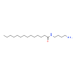 ChemSpider 2D Image | N-(4-Aminobutyl)tetradecanamide | C18H38N2O