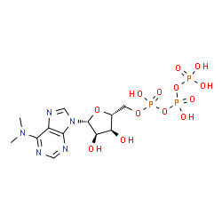 ChemSpider 2D Image | N,N-Dimethyladenosine 5'-(tetrahydrogen triphosphate) | C12H20N5O13P3